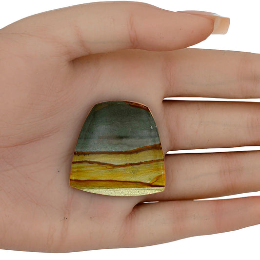 Picture Jasper 34.25x34.15x5 mm Fancy Gemstone LS04073-99