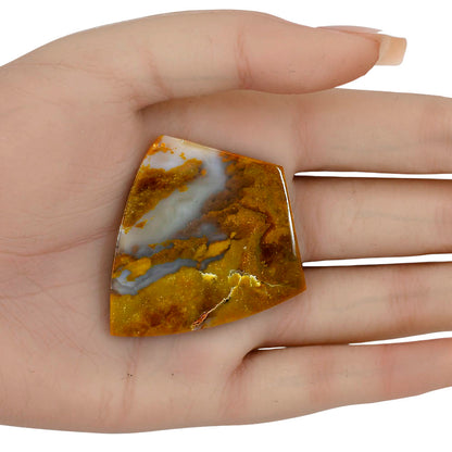 Graveyard Point 51.2x45.5x4 mm Fancy Gemstone LS04076-99