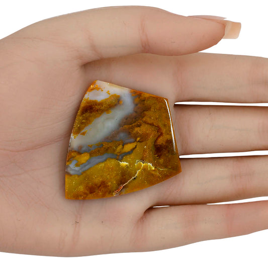 Graveyard Point 51.2x45.5x4 mm Fancy Gemstone LS04076-99