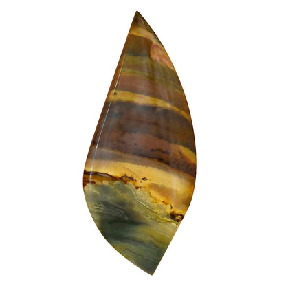 Willow Creek Jasper 53.9x23x5 mm Fancy Gemstone LS04078-99