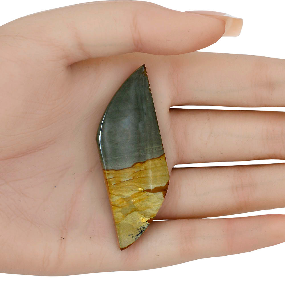 Picture Jasper 61.6x21.2x5.5 mm Fancy Gemstone LS04080-99