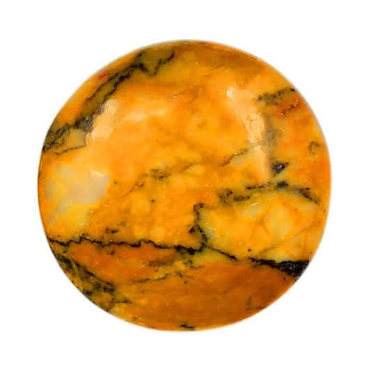 Honey Dendritic Opal 28.5x28.5x7 mm Round Shape Polished Gemstone LS100-05997