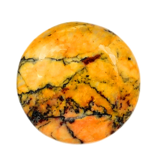 Honey Dendritic Opal 26x26x6.4 mm Round Shape Polished Gemstone LS100-05998