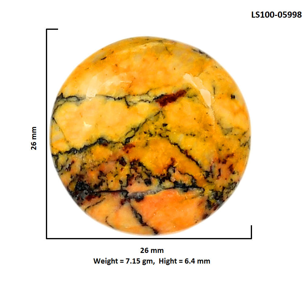 Honey Dendritic Opal 26x26x6.4 mm Round Shape Polished Gemstone LS100-05998