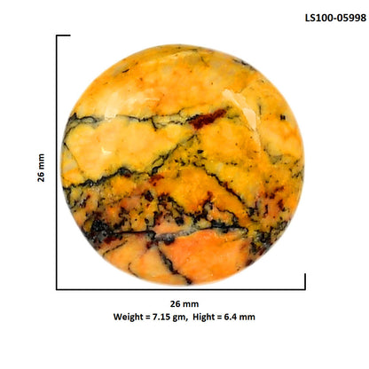 Honey Dendritic Opal 26x26x6.4 mm Round Shape Polished Gemstone LS100-05998