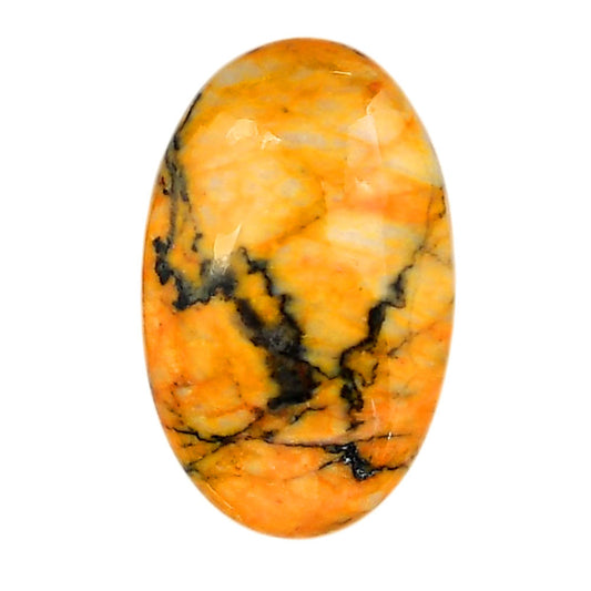 Honey Dendritic Opal 20.85x33x7 mm Oval Shape Polished Gemstone LS100-05999