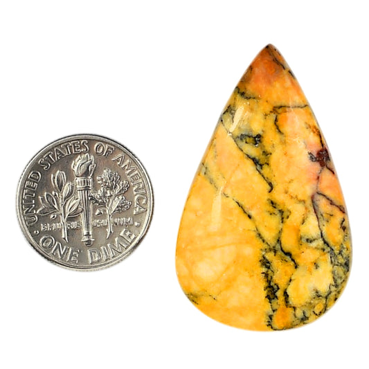 Honey Dendritic Opal 23x37.27x6 mm Pear Shape Polished Gemstone LS100-06000