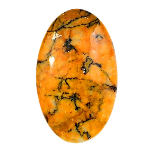 Honey Dendritic Opal 20.5x33.6x6 mm Oval Shape Polished Gemstone LS100-06001