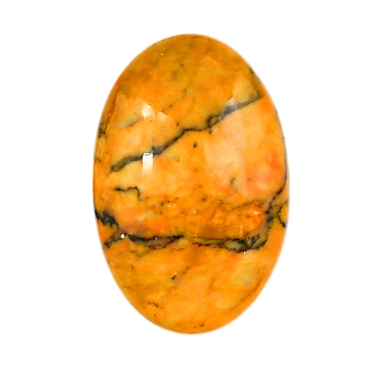 Honey Dendritic Opal 19.5x29.6x6.8 mm Oval Shape Polished Gemstone LS100-06002