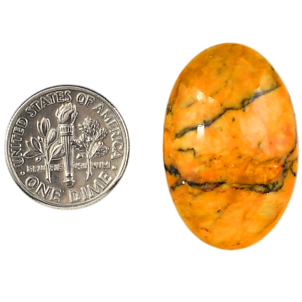 Honey Dendritic Opal 19.5x29.6x6.8 mm Oval Shape Polished Gemstone LS100-06002