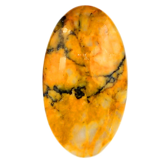 Honey Dendritic Opal 19.2x34.2x5.5 mm Oval Shape Polished Gemstone LS100-06003