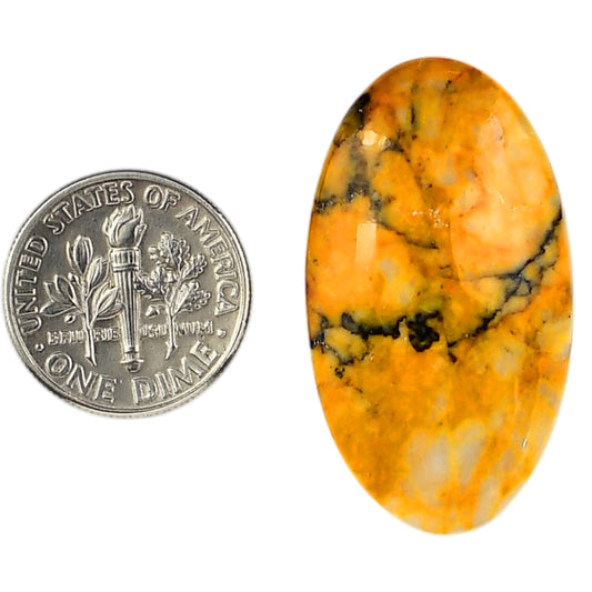 Honey Dendritic Opal 19.2x34.2x5.5 mm Oval Shape Polished Gemstone LS100-06003