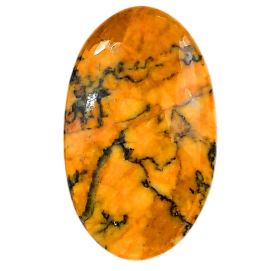 Honey Dendritic Opal 19.7x32.6x5 mm Oval Shape Polished Gemstone LS100-06004