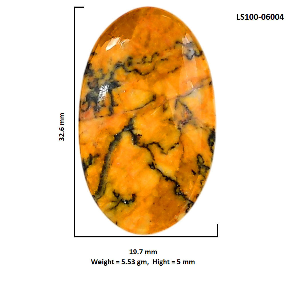 Honey Dendritic Opal 19.7x32.6x5 mm Oval Shape Polished Gemstone LS100-06004