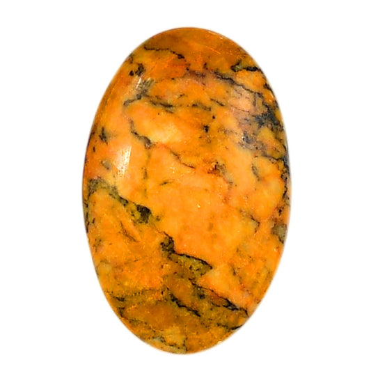Honey Dendritic Opal 20.5x31.75x5.5 mm Oval Shape Polished Gemstone LS100-06005