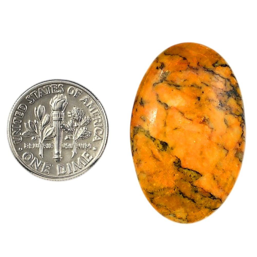 Honey Dendritic Opal 20.5x31.75x5.5 mm Oval Shape Polished Gemstone LS100-06005