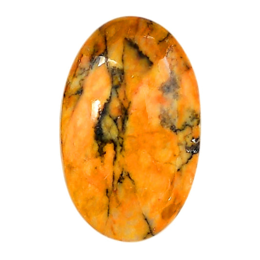 Honey Dendritic Opal 19.5x31x6.5 mm Oval Shape Polished Gemstone LS100-06006