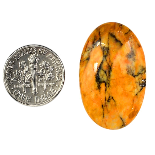 Honey Dendritic Opal 19.5x31x6.5 mm Oval Shape Polished Gemstone LS100-06006