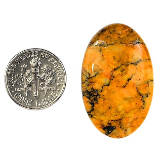 Honey Dendritic Opal 21x33x5.7 mm Oval Shape Polished Gemstone LS100-06007