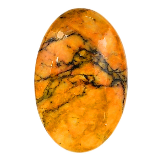 Honey Dendritic Opal 21x32.3x6 mm Oval Shape Polished Gemstone LS100-06008