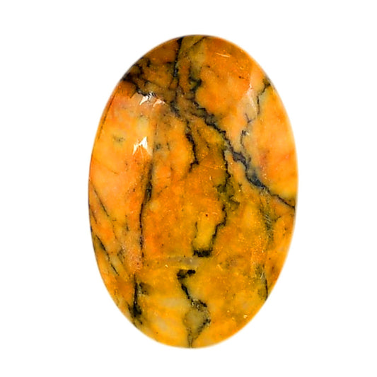 Honey Dendritic Opal 20.3x30.4x5.5 mm Oval Shape Polished Gemstone LS100-06009