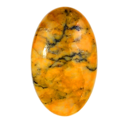 Honey Dendritic Opal 18.8x30.65x6 mm Oval Shape Polished Gemstone LS100-06010