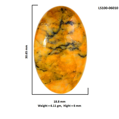 Honey Dendritic Opal 18.8x30.65x6 mm Oval Shape Polished Gemstone LS100-06010