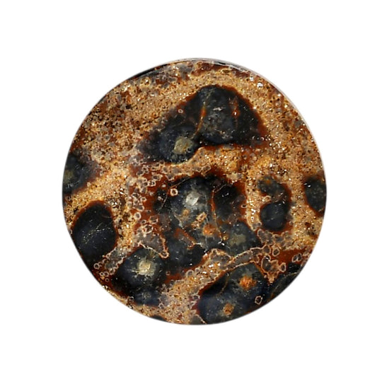 Viper Skin Jasper 31x31x5.7 mm Round Shape Polished Gemstone LS101-06012