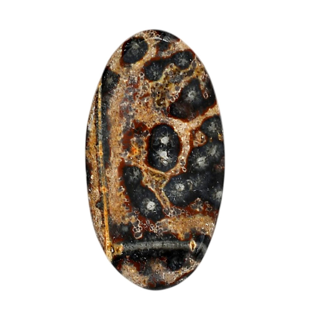 Viper Skin Jasper 22.3x41.35x5 mm Oval Shape Polished Gemstone LS101-06016