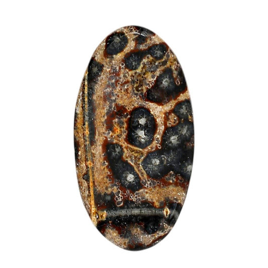 Viper Skin Jasper 22.3x41.35x5 mm Oval Shape Polished Gemstone LS101-06016