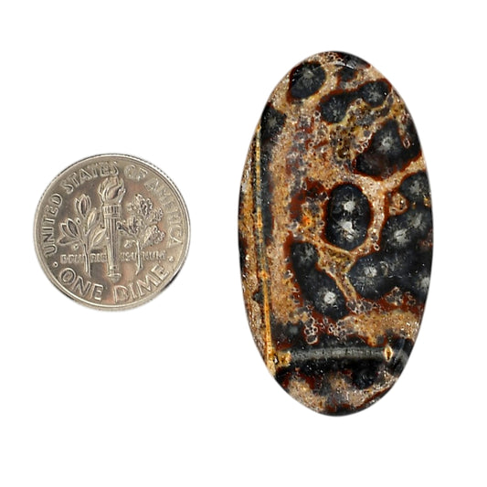 Viper Skin Jasper 22.3x41.35x5 mm Oval Shape Polished Gemstone LS101-06016