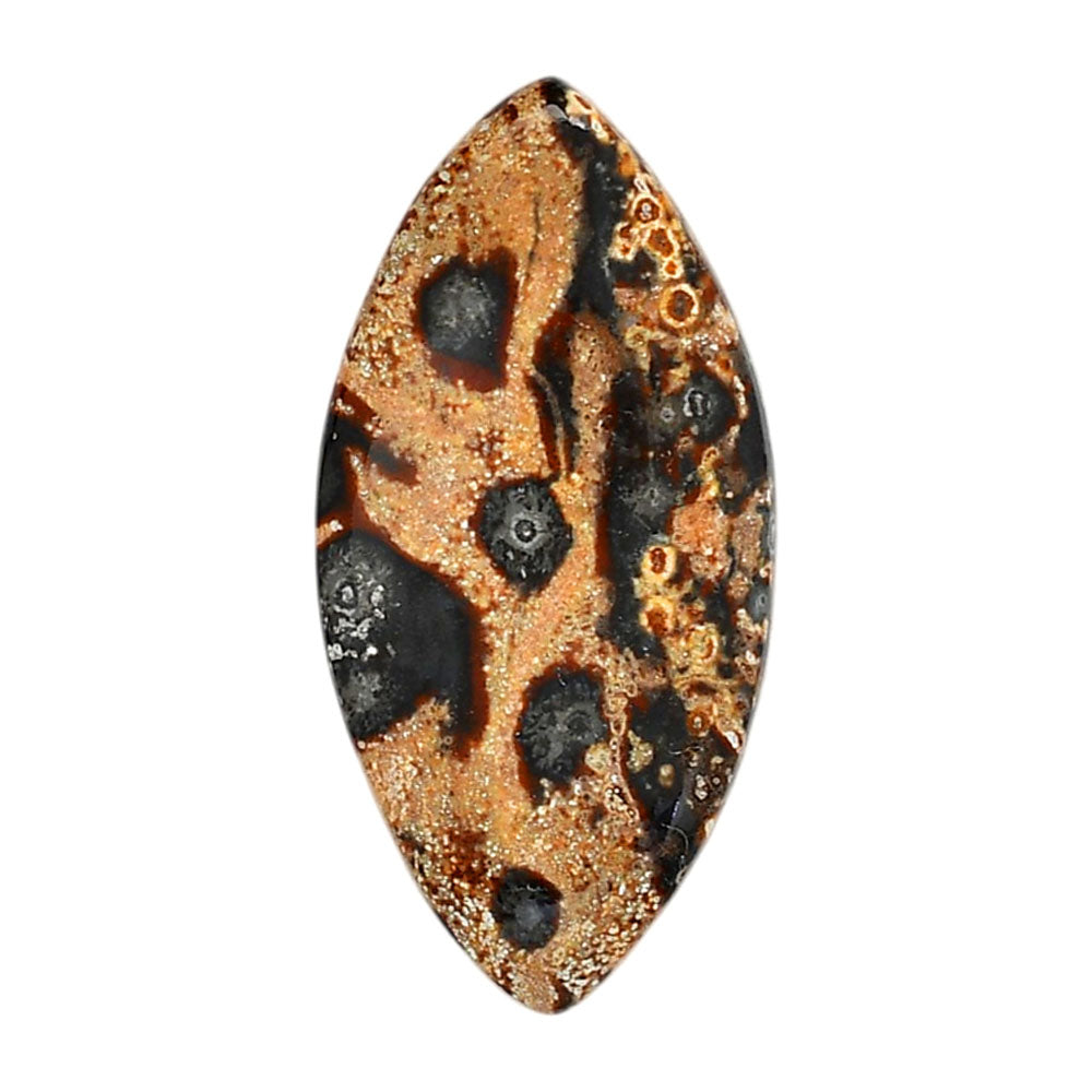 Viper Skin Jasper 23x47x5.5 mm Marquise Shape Polished Gemstone LS101-06017