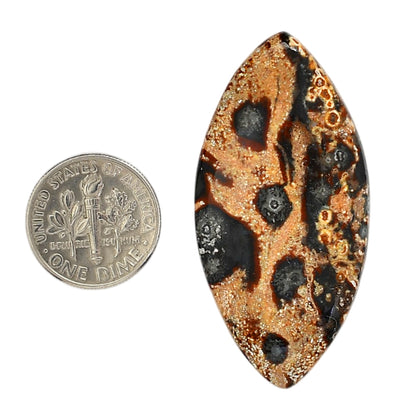Viper Skin Jasper 23x47x5.5 mm Marquise Shape Polished Gemstone LS101-06017