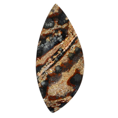 Viper Skin Jasper 18.65x42.2x5 mm Fancy Shape Polished Gemstone LS101-06022