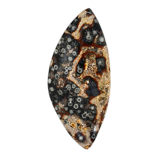 Viper Skin Jasper 19.2x43.4x5.5 mm Fancy Shape Polished Gemstone LS101-06025