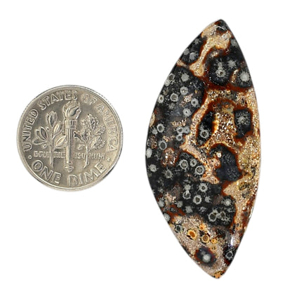 Viper Skin Jasper 19.2x43.4x5.5 mm Fancy Shape Polished Gemstone LS101-06025