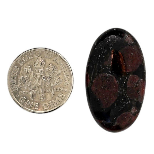 Eudialyte 16.4x28.35x5 mm Oval Shape Polished Gemstone LS104-06058