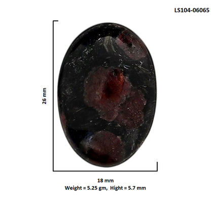 Eudialyte 18x26x5.7 mm Oval Shape Polished Gemstone LS104-06065