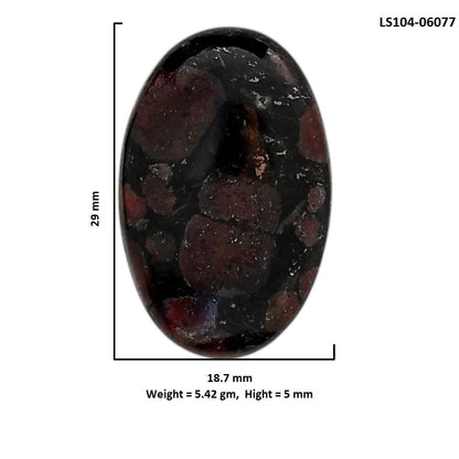 Eudialyte 18.7x29x5 mm Oval Shape Polished Gemstone LS104-06077