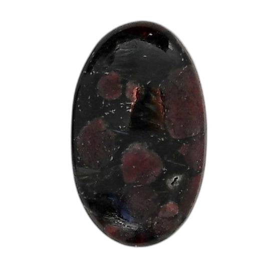 Eudialyte 16.7x27.7x5.5 mm Oval Shape Polished Gemstone LS104-06078