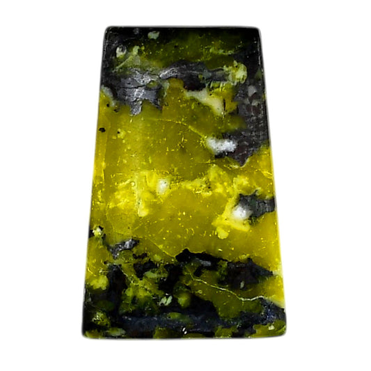 Lizardite 21x32x6 mm Fancy Shape Polished Gemstone LS108-06166