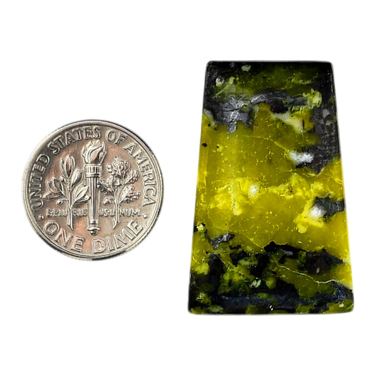 Lizardite 21x32x6 mm Fancy Shape Polished Gemstone LS108-06166