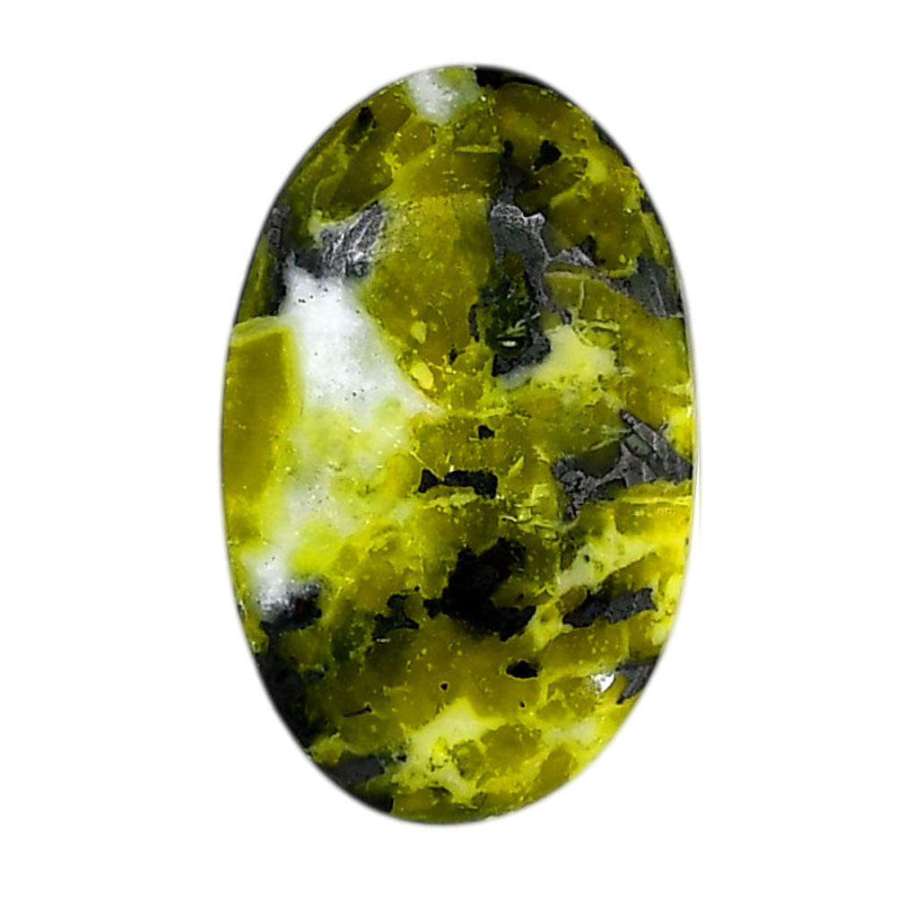 Lizardite 20.4x32.35x5.8 mm Oval Shape Polished Gemstone LS108-06168