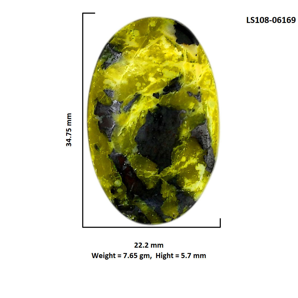 Lizardite 22.2x34.75x5.7 mm Oval Shape Polished Gemstone LS108-06169