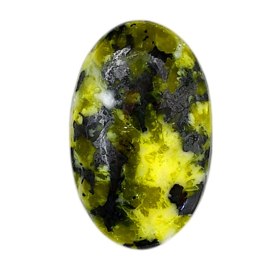 Lizardite 19.6x31.4x5.5 mm Oval Shape Polished Gemstone LS108-06170
