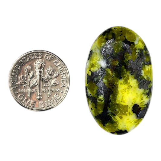 Lizardite 19.6x31.4x5.5 mm Oval Shape Polished Gemstone LS108-06170
