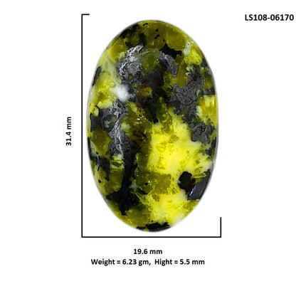 Lizardite 19.6x31.4x5.5 mm Oval Shape Polished Gemstone LS108-06170