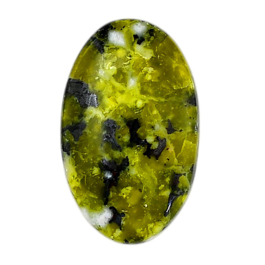Lizardite 19.3x31.25x5.5 mm Oval Shape Polished Gemstone LS108-06171
