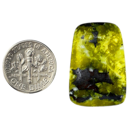 Lizardite 19x27.9x5.8 mm Fancy Shape Polished Gemstone LS108-06174