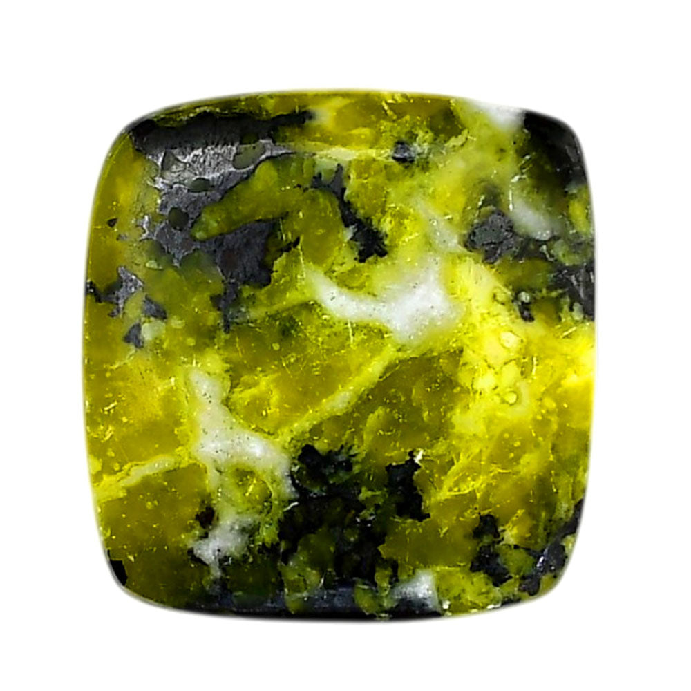 Lizardite 27x28.2x5.5 mm Cushion Shape Polished Gemstone LS108-06175